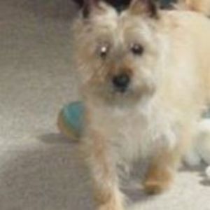 Meet your Posher, Sylvia